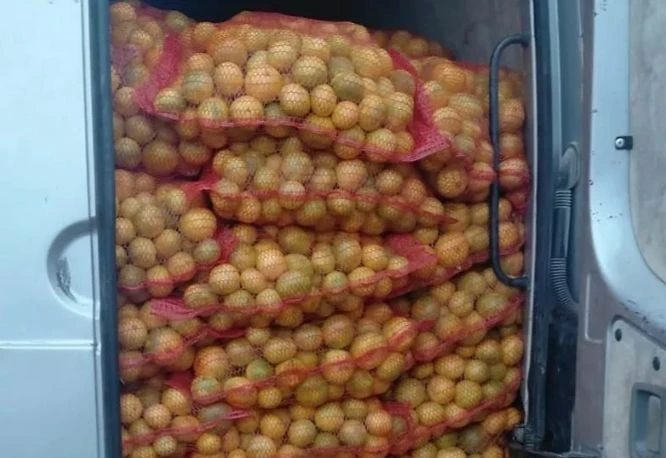 Spriječen nezakonit unos 4,5 tona mandarina iz Hrvatske, vozaču uručen prekršajni nalog