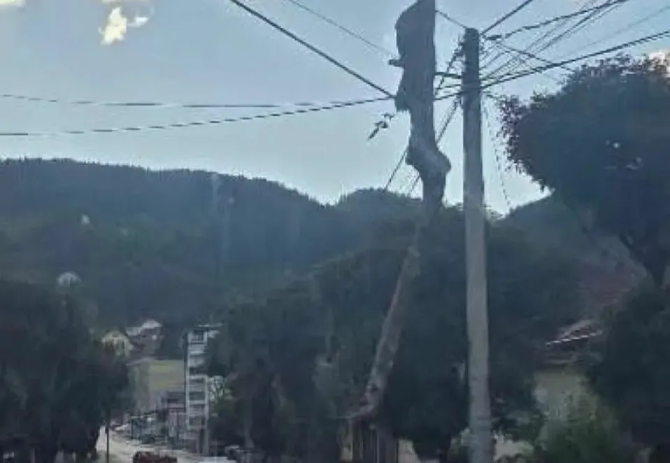 Kamion s balvanima zakačio električne kablove u Rogatici, intervenisali vatrogasci i policija