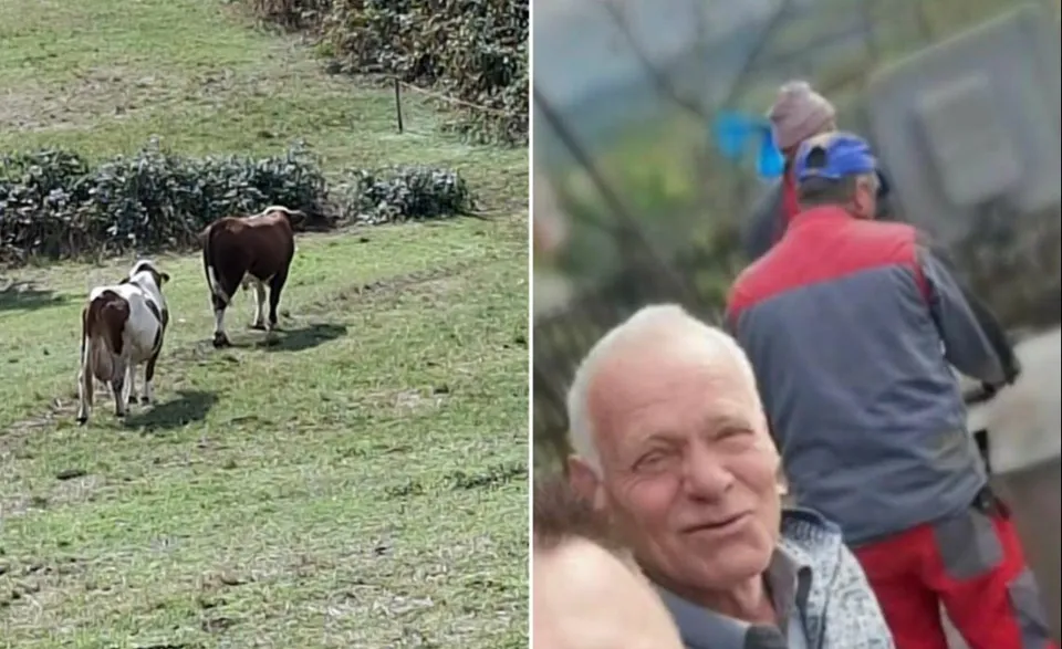 U Sladni kod Srebrenika bik nasmrt izbo 76-godišnjeg farmera
