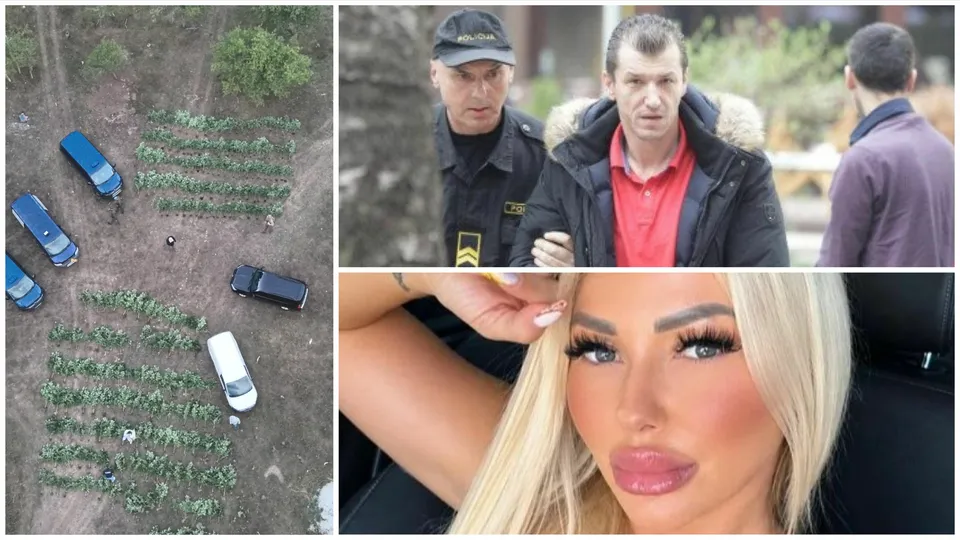 U akciji "Pantera" uhapšene četiri osobe, zaplijenjeno oko 400 stabljika kanabisa kod Konjica