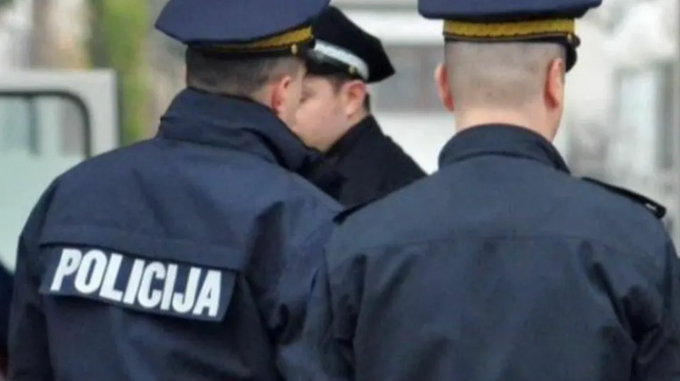 U Olovu bespravno posječeno oko četiri kubika stabala, policija istražuje slučaj