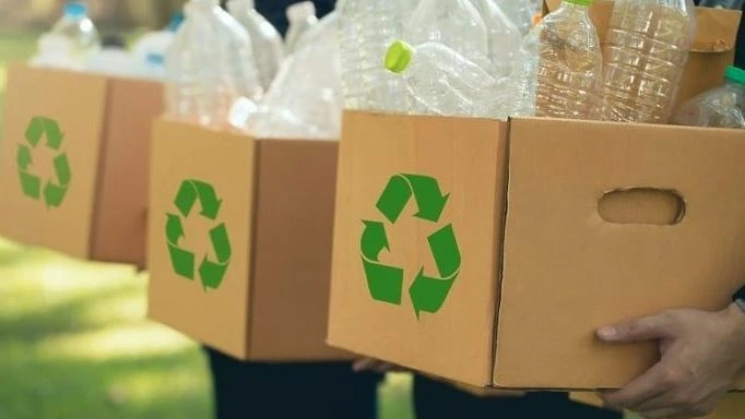 Ne bacajte plastične flaše – mogu spasiti mlade voćke od zečeva i voluharica zimi